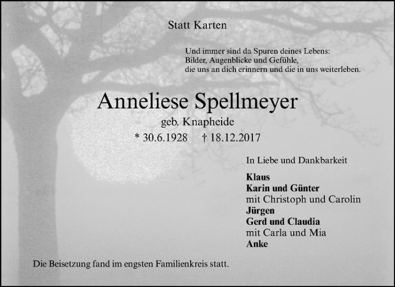  Traueranzeige für Anneliese Spellmeyer vom 23.12.2017 aus Westfälische Nachrichten