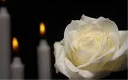 Your browser does not support the webp format